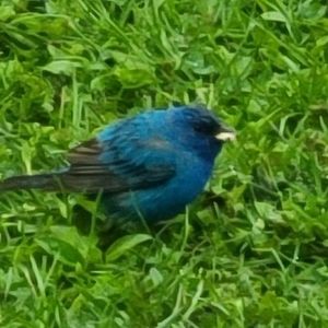 Meet your Posher, Janet